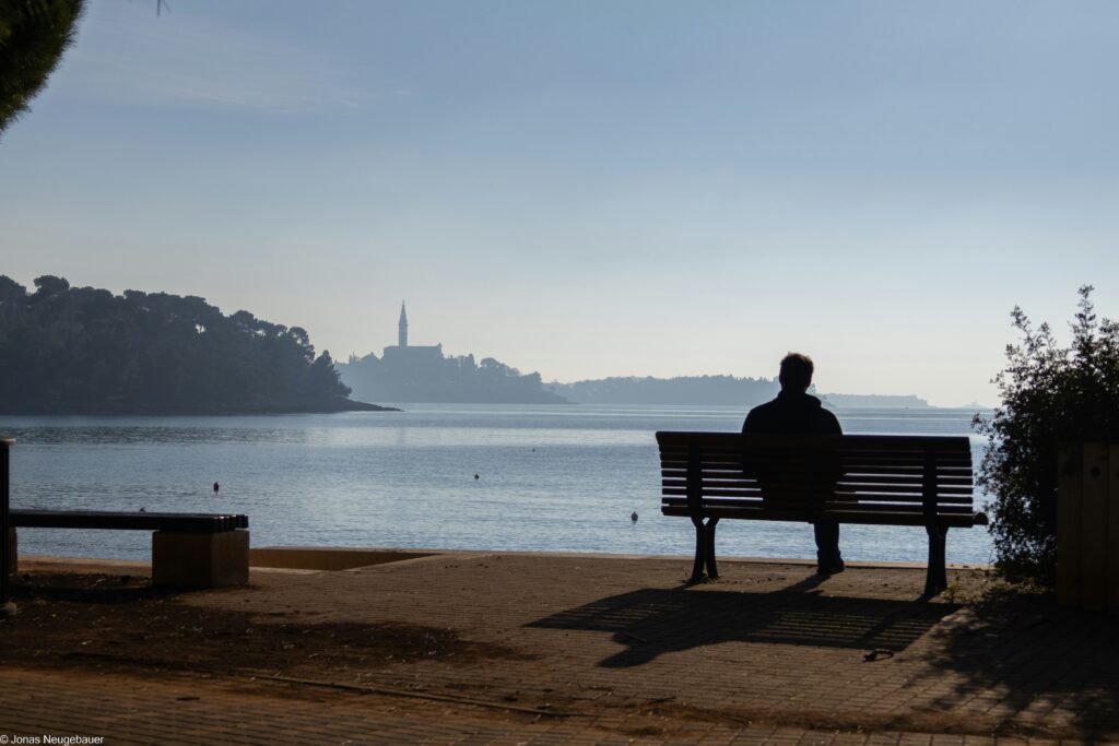 jonas neugebauer xbfgnlvzarm unsplash